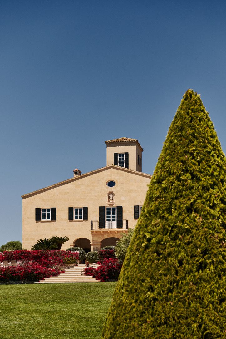 The house above its bougainvillea steps, clipped topiary in the foreground